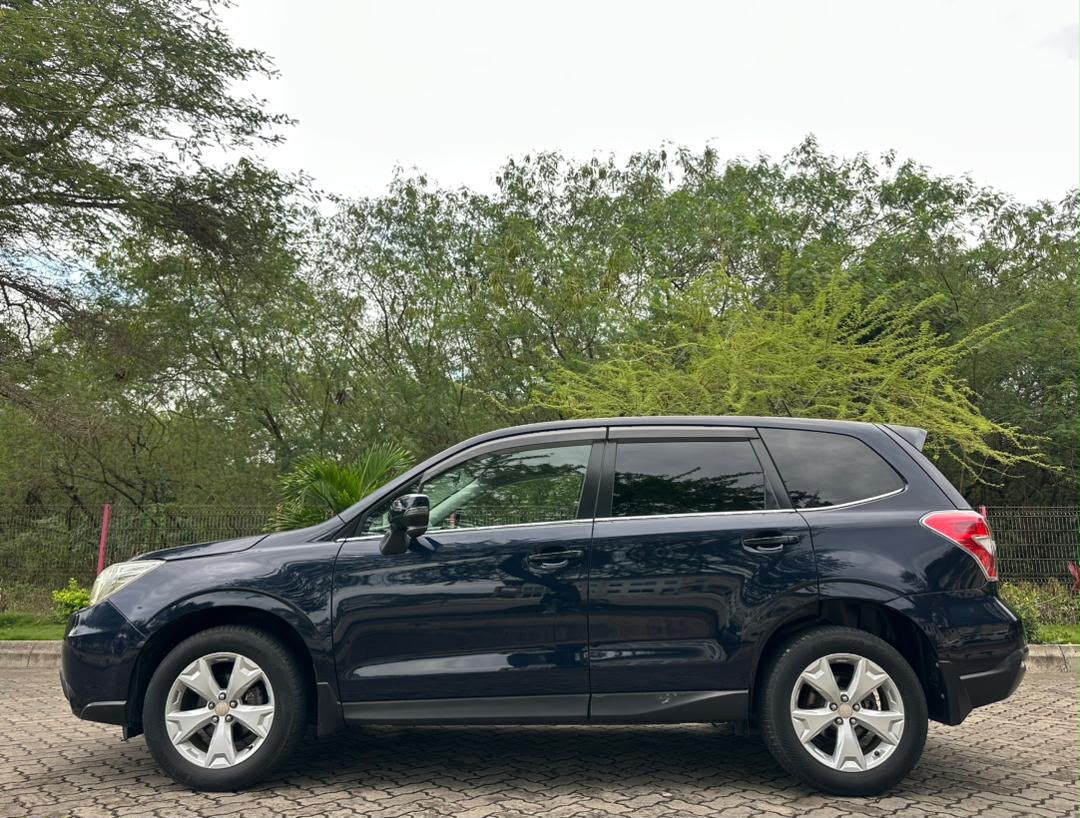 FORESTER thumbnail 5